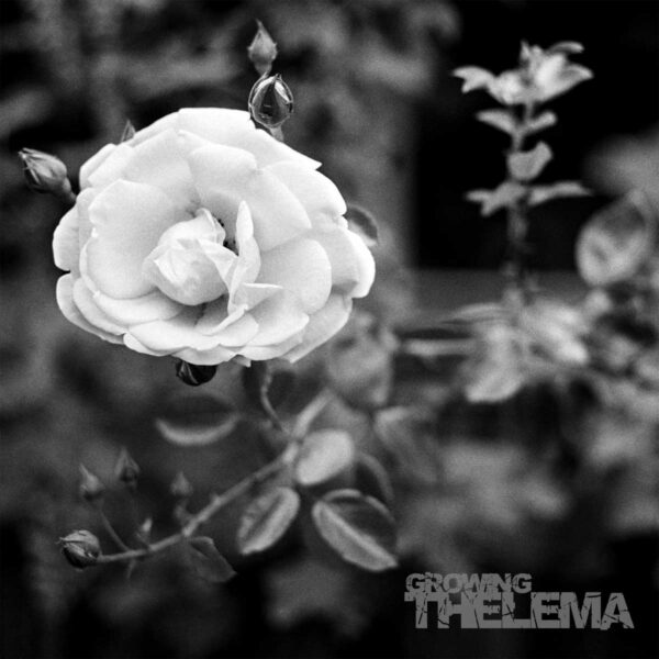 Thelema-Growing